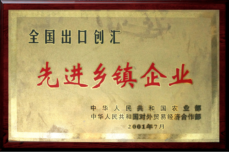 全國(guó)出口創(chuàng)匯-先進(jìn)鄉(xiāng)鎮(zhèn)企業(yè)