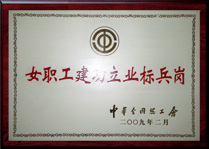 公司開發(fā)部獲“全國(guó)女職工建功立業(yè)標(biāo)兵崗”榮譽(yù)稱號(hào)